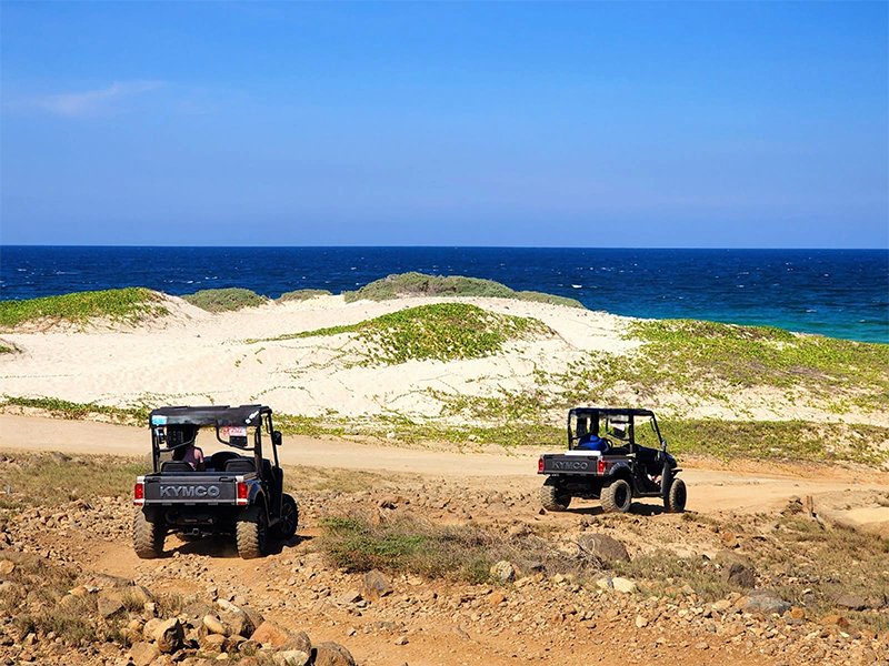 Aruba-5